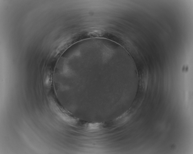 X0000112880134200908211501