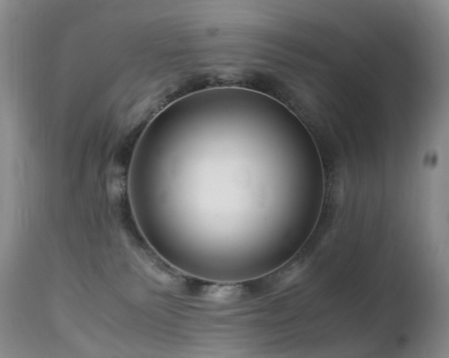 X0000112880135200908211501