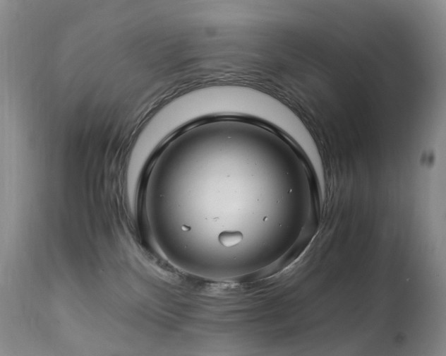 X0000112880136200908211501