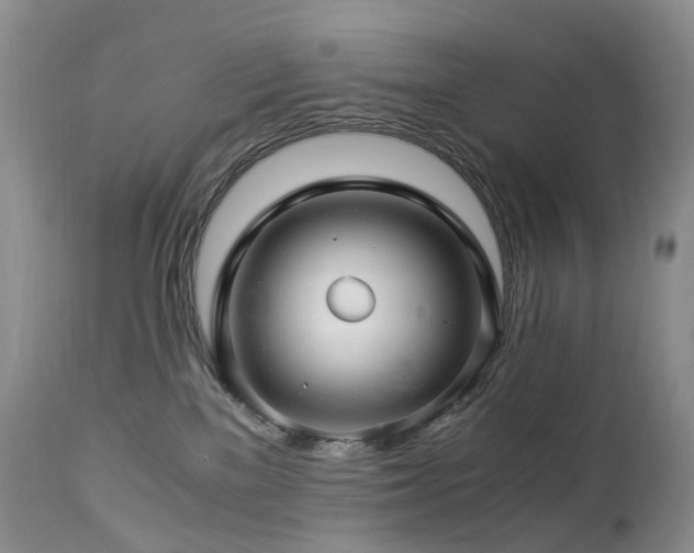 X0000112880137200908211501