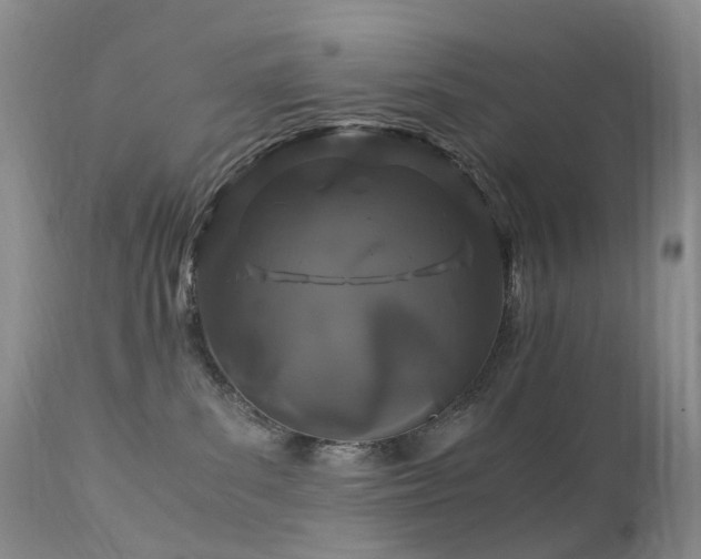 X0000112880139200908211500