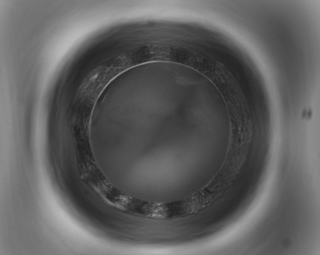 X0000112880143200908211500