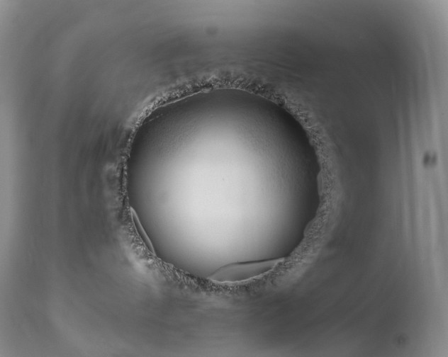 X0000112880144200908211500