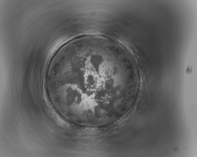 X0000112880145200908211500