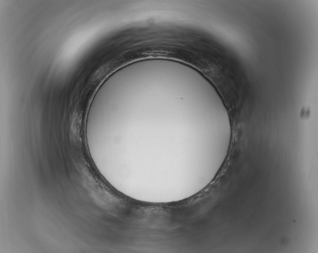 X0000112880146200908211500