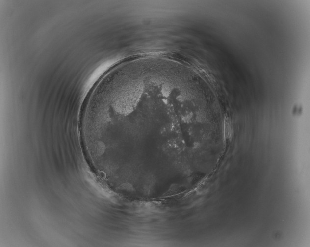 X0000112880147200908211500