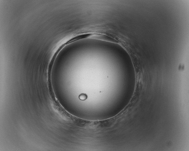 X0000112880148200908211500