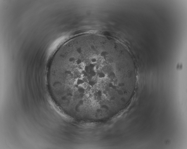 X0000112880149200908211500