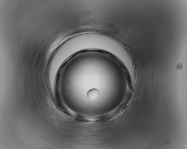 X0000112880150200908211500