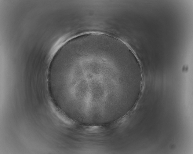 X0000112880151200908211500