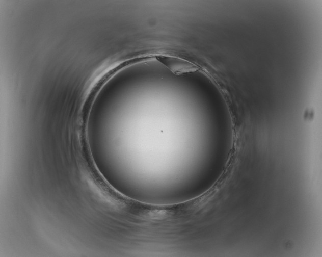 X0000112880152200908211500