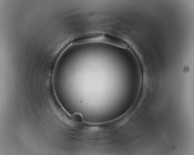 X0000112880153200908211500