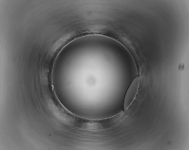 X0000112880154200908211500