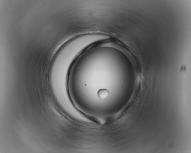 X0000112880156200908211500