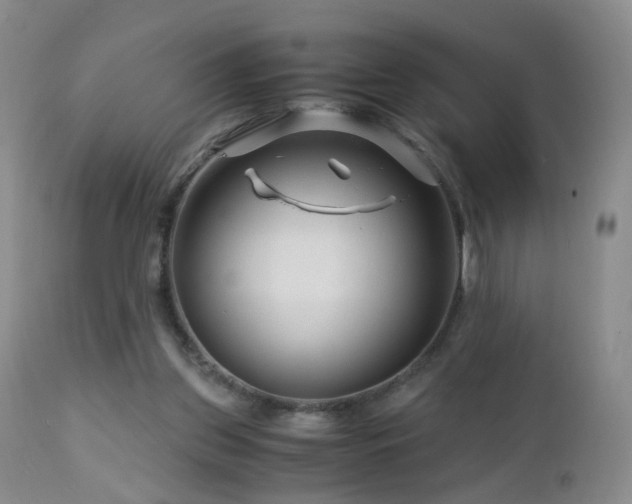 X0000112880157200908211500