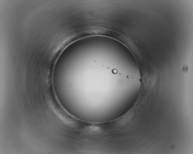 X0000112880159200908211500