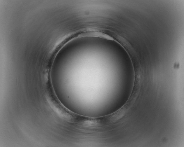 X0000112880160200908211500