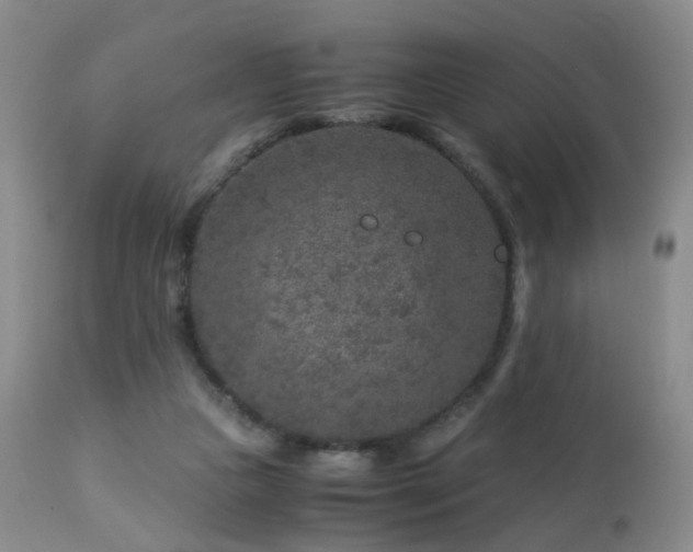 X0000112880161200908211500