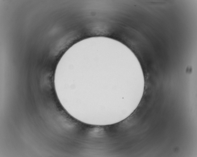 X0000112880162200908211500