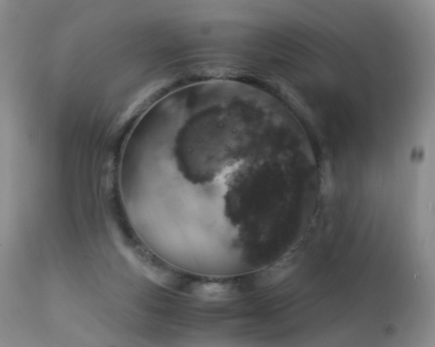 X0000112880163200908211500