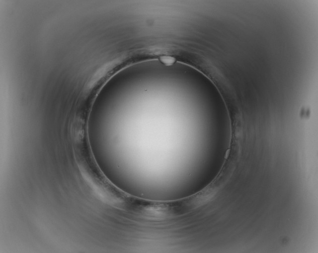 X0000112880164200908211500