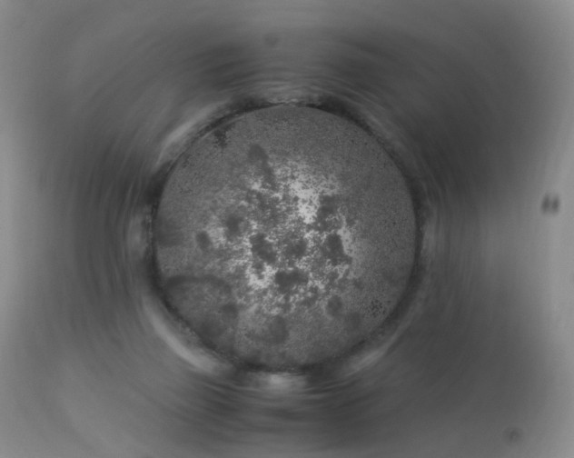 X0000112880165200908211500