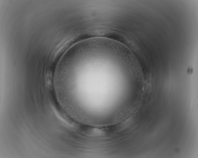 X0000112880166200908211500