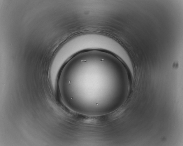 X0000112880168200908211500