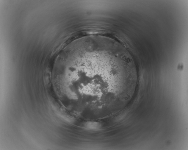 X0000112880169200908211500