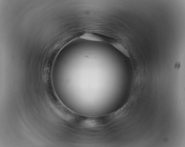 X0000112880171200908211500