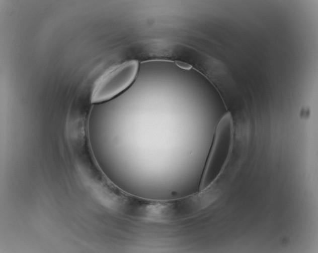 X0000112880172200908211500