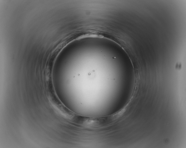 X0000112880174200908211500