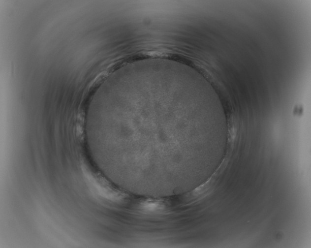 X0000112880175200908211500