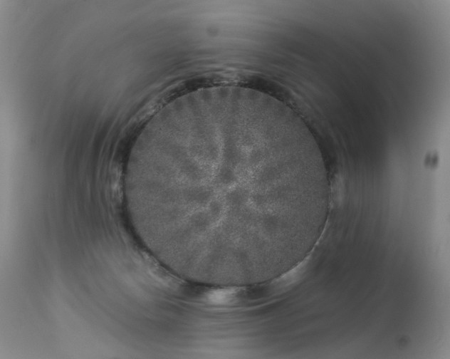 X0000112880178200908211500