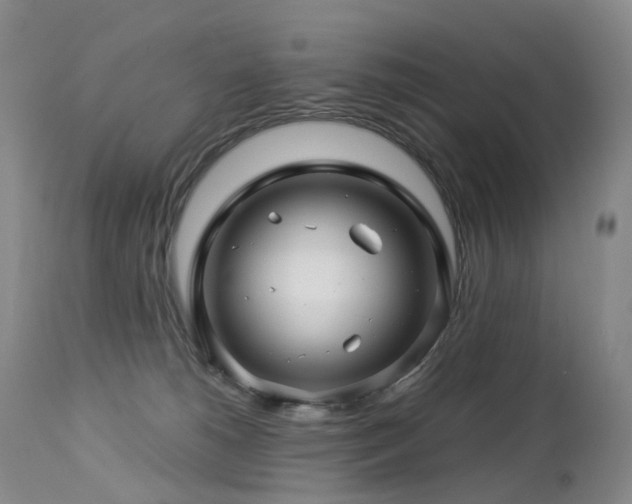 X0000112880180200908211500