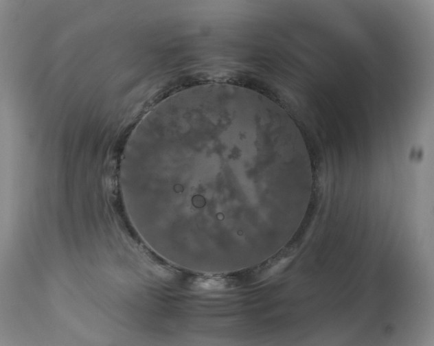 X0000112880181200908211500