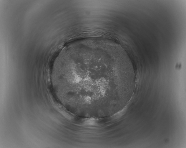 X0000112880182200908211500