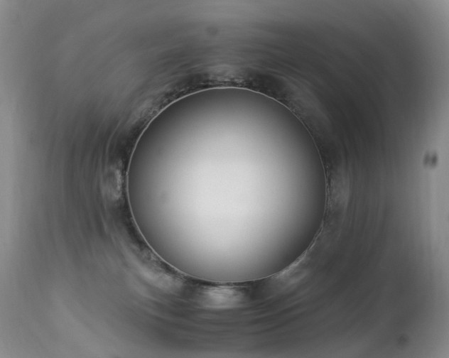 X0000112880183200908211500