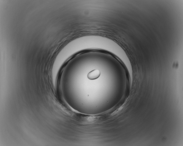 X0000112880184200908211500