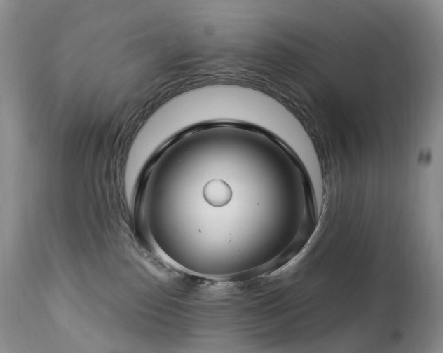 X0000112880186200908211500