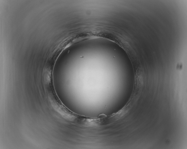 X0000112880188200908211500