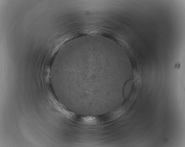 X0000112880189200908211500