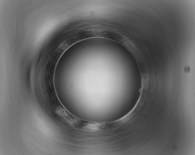 X0000112880190200908211500