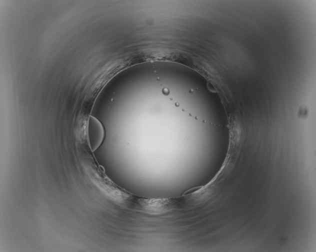 X0000112880191200908211500