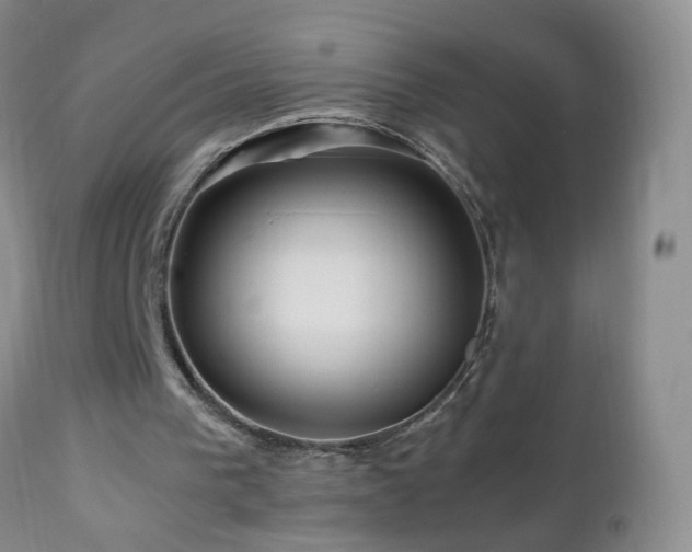 X0000112880193200908211500