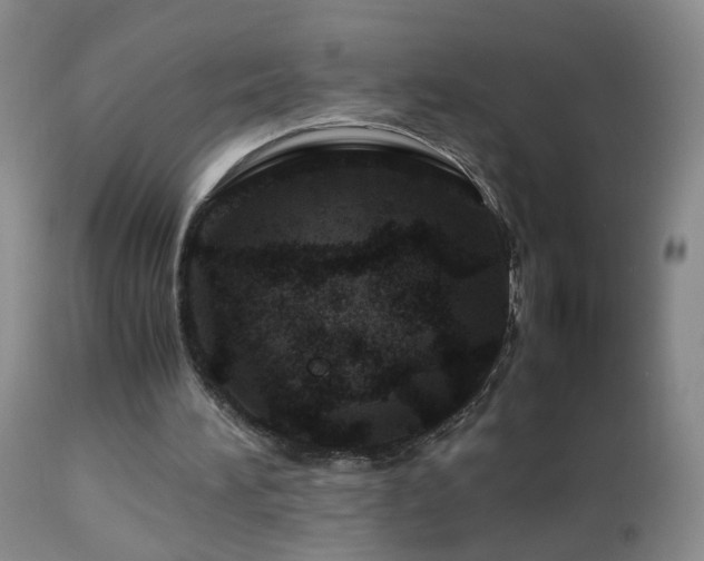 X0000112880196200908211500