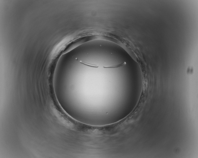 X0000112880197200908211500