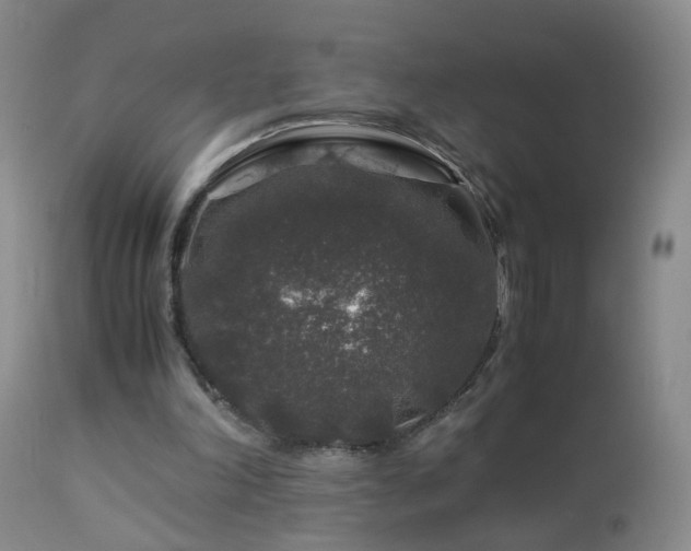 X0000112880198200908211500