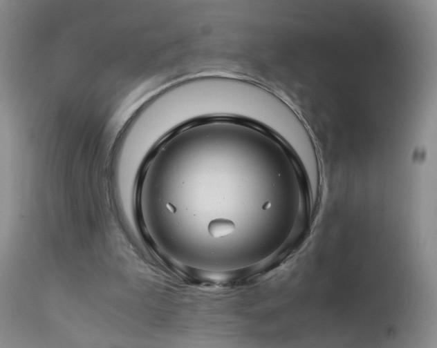 X0000112880199200908211500