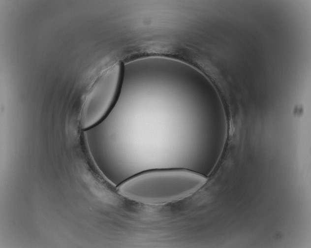 X0000112880201200908211500